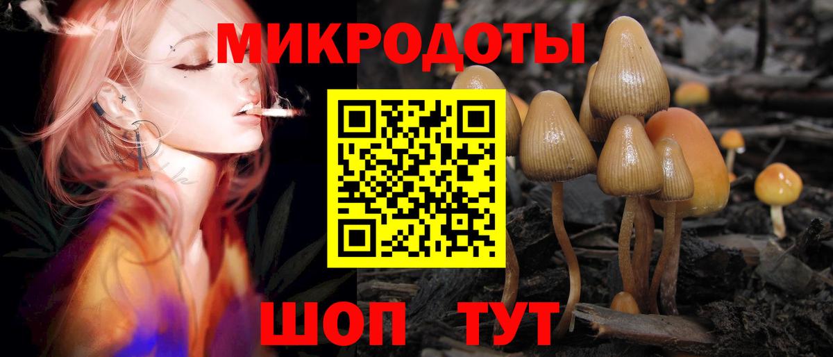 Галлюциногенные грибы GOLDEN TEACHER Елабуга